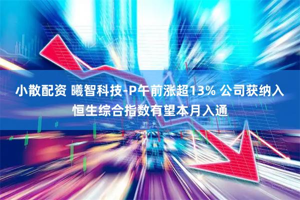 小散配资 曦智科技-P午前涨超13% 公司获纳入恒生综合指数有望本月入通